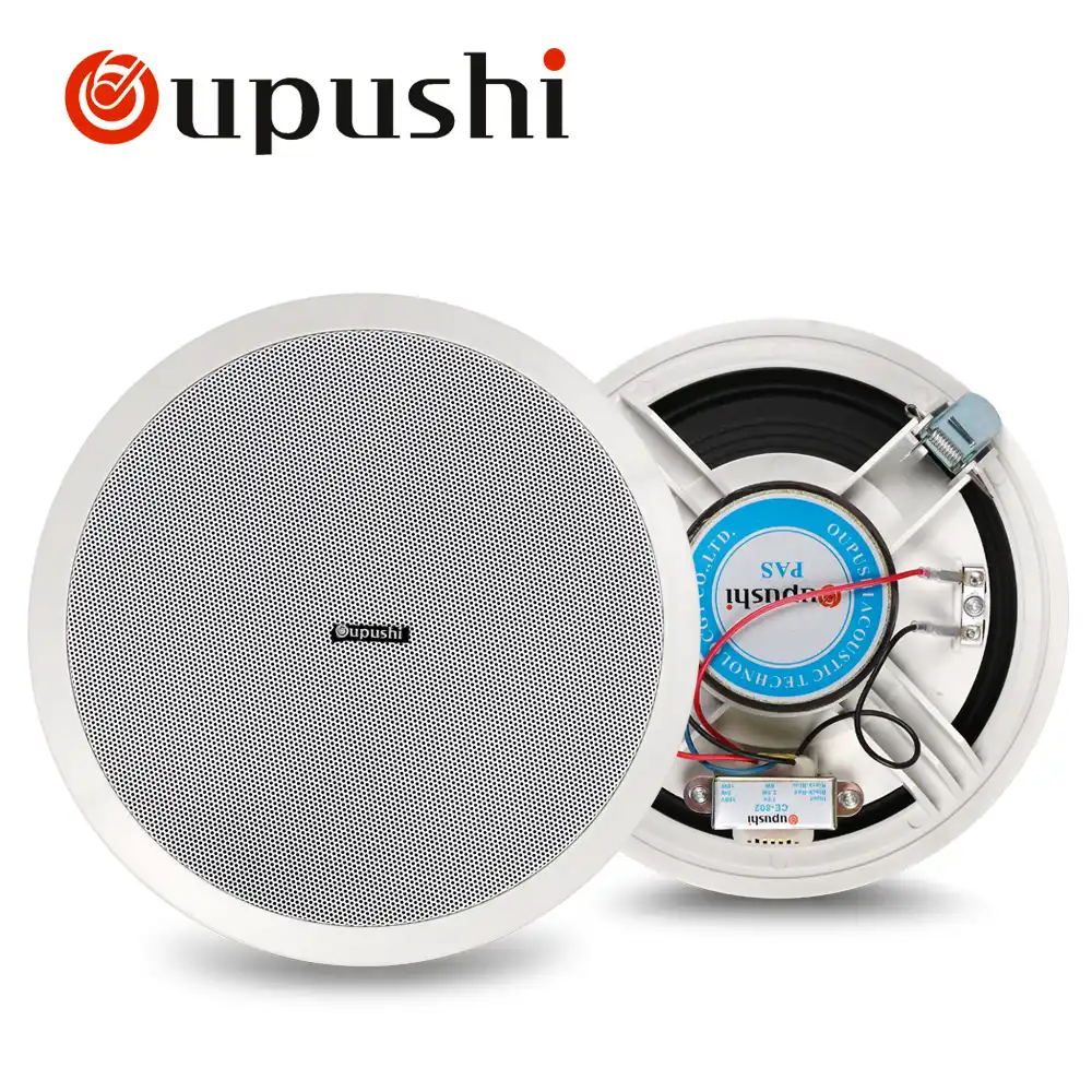 mini ceiling speakers