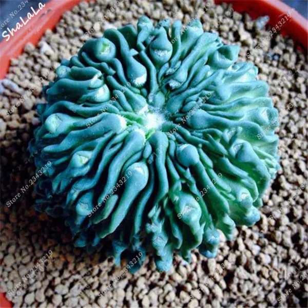 3A8D4A177EAB16DA596F5AB24882FF97