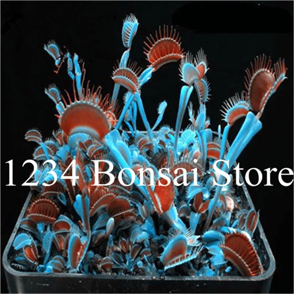 4B1963D25B0738FBDC3D3E360D5FD0C7