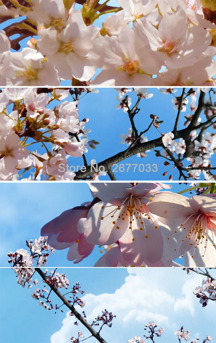 Пользовательские потолочные Настенные ткани классическое голубое небо белые облака вишневые Цветы фото обои Гостиная оформление отелей настенная 3D