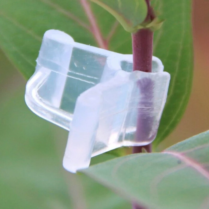 

Gardening Grafting Clip Accessories 50PCS Vegetable Planting Element High Quality Durable Practical Attachment
