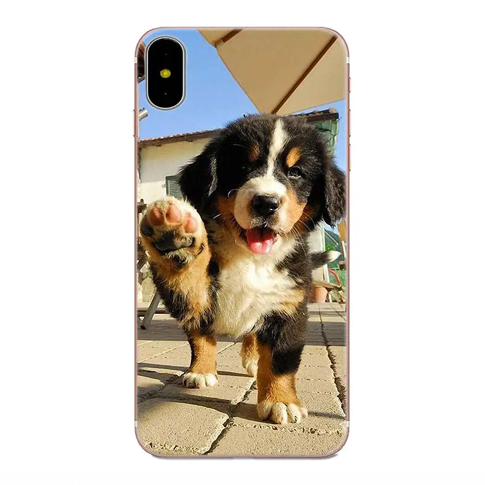 Мягкий резиновый чехол для телефона Samoyed Pomeranian dog Для Xiaomi Note 3 4 Mi3 Mi4 Mi4C Mi4i Mi5 Mi 5S 5X 6 6X