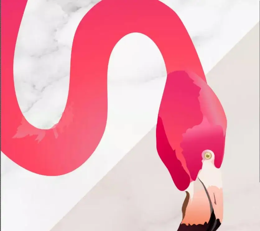 QQ20190223175717