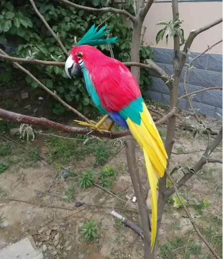 Kreatif Simulasi Model Busa Bulu Burung Nuri Merah Dengan Hijau Bulu Di Atas Hadiah Boneka Sekitar 30 Cm 1793 Foam Doll Bird Dolldoll Gift Aliexpress