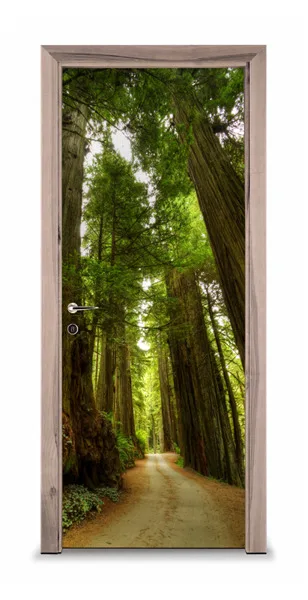 pol_pl_Naklejka-na-drzwi-Droga-w-lesie-7405-1218_2