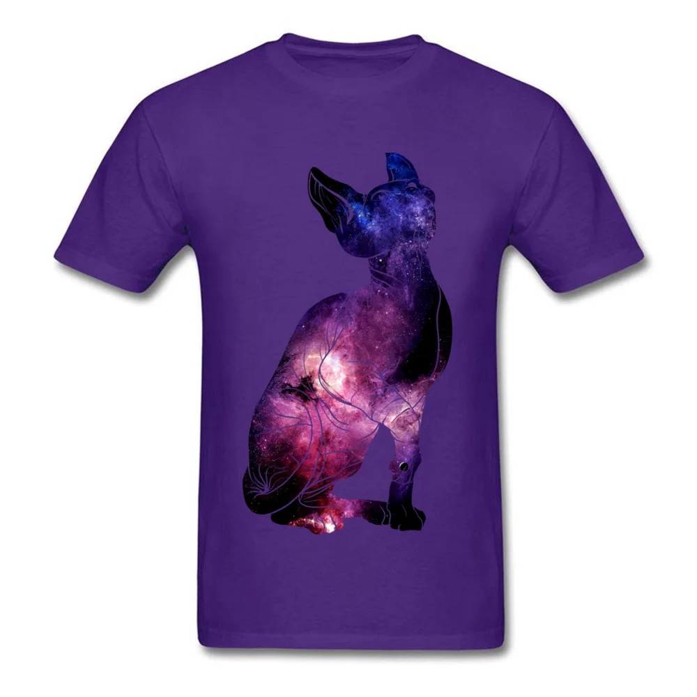 cat universe_purple