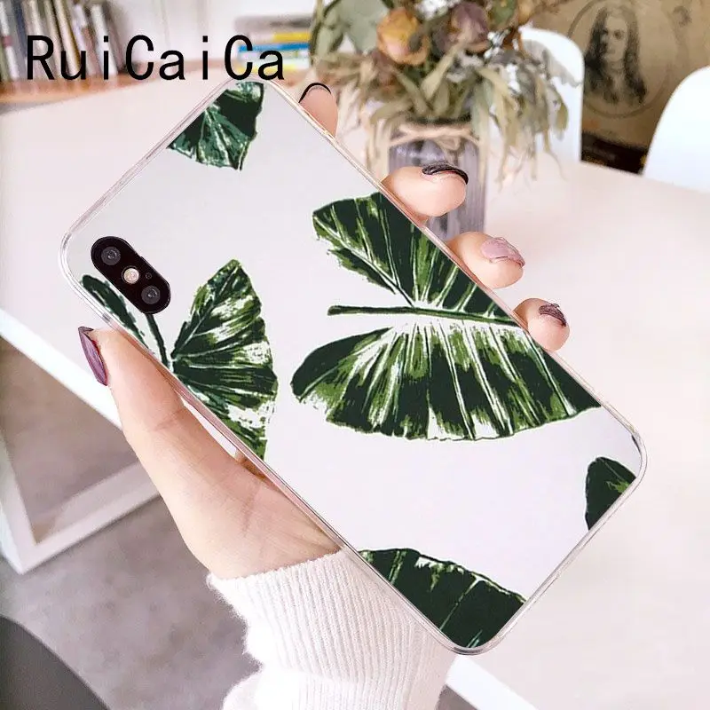 Palm tree Leaves Plant Flower