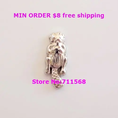 

Beaver Floating Charm WOW Sea Otter Locket Charm For Floating Glass Locket