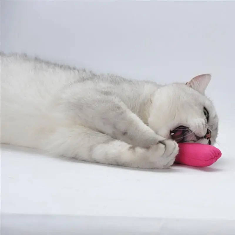 Забавная интерактивная игрушка Crazy Cat для жевания котят зубья затачивающие