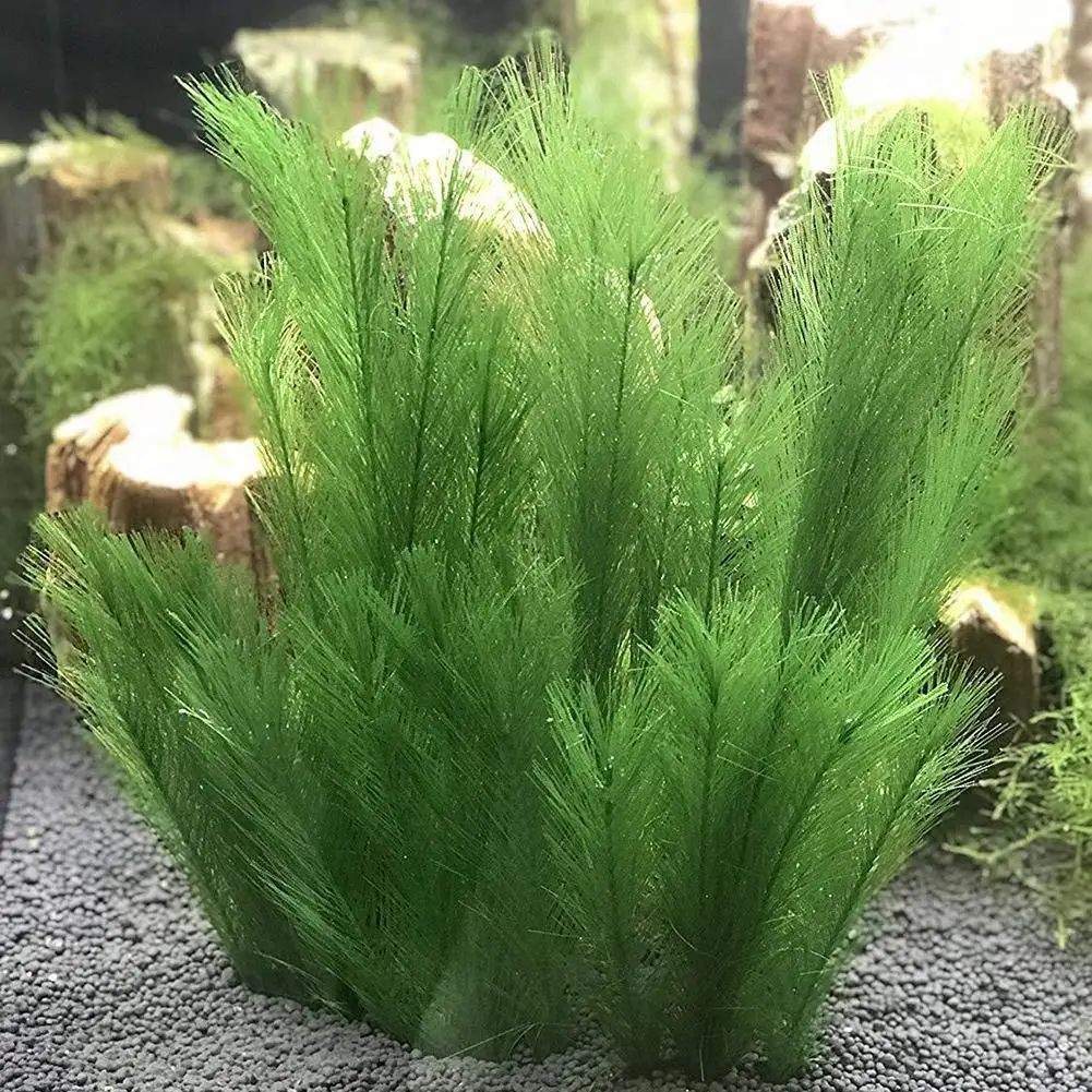 

45# New Arrival 1/3Pcs Aquarium Fish Tank Artificial Water Grass Aquatic Plant Landscaping Decor