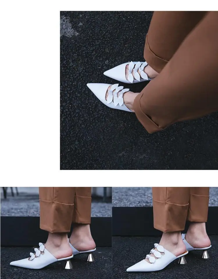 HTB1Hf59exWYBuNjy1zkq6xGGpXaJ