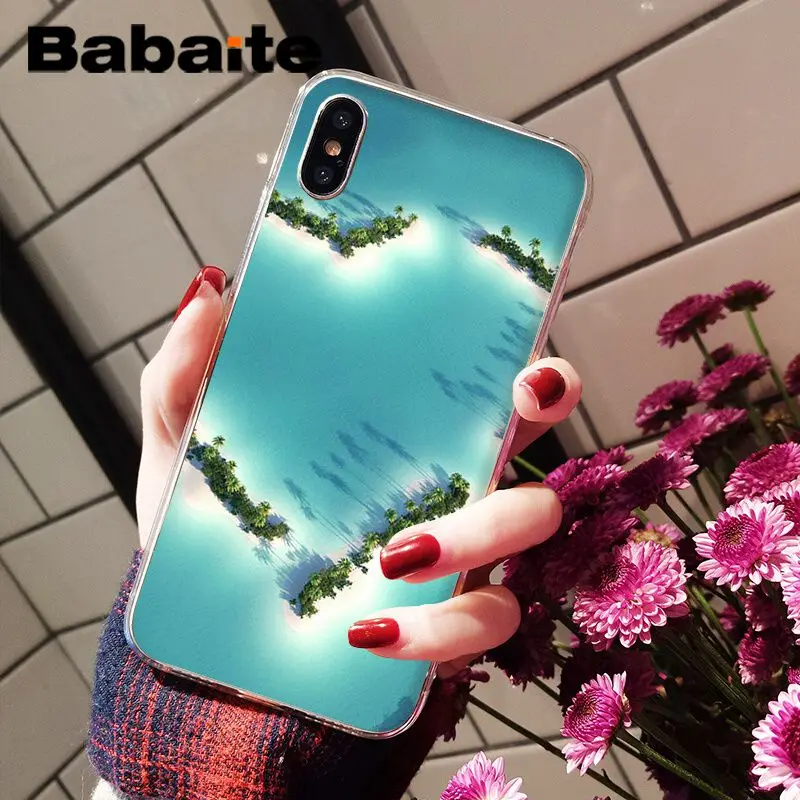 Summer beach palm