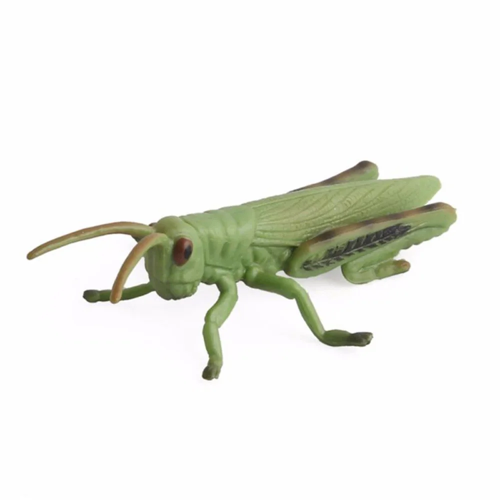 Grasshopper 8 шт./компл. жесткий пластик ПВХ Модель насекомого Имитация животных многоцветные детские игрушки G1 - Цвет: Grasshopper