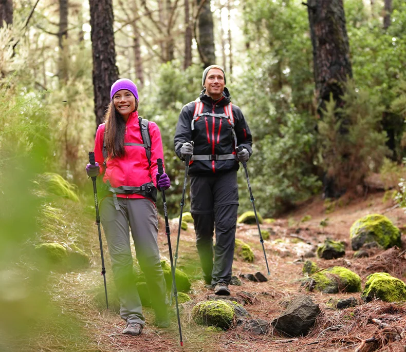 Naturehike углеродное волокно походная трость 1 шт. треккинг 3 секции полюс складной Сверхлегкий легче трости кемпинг NH19S010-T