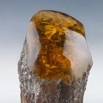 

Natural amber scorpion amber classical art collection and home decoration