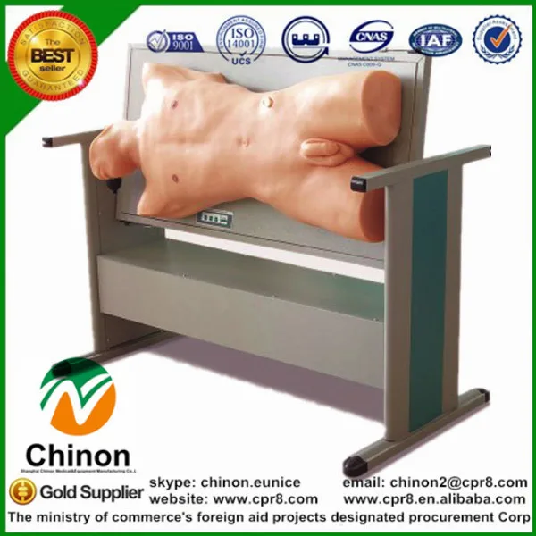 

BIX-CK810 Medical Science Examination Skills Training Model Comprehensive Centesis Percussion Check Manikin MQ137