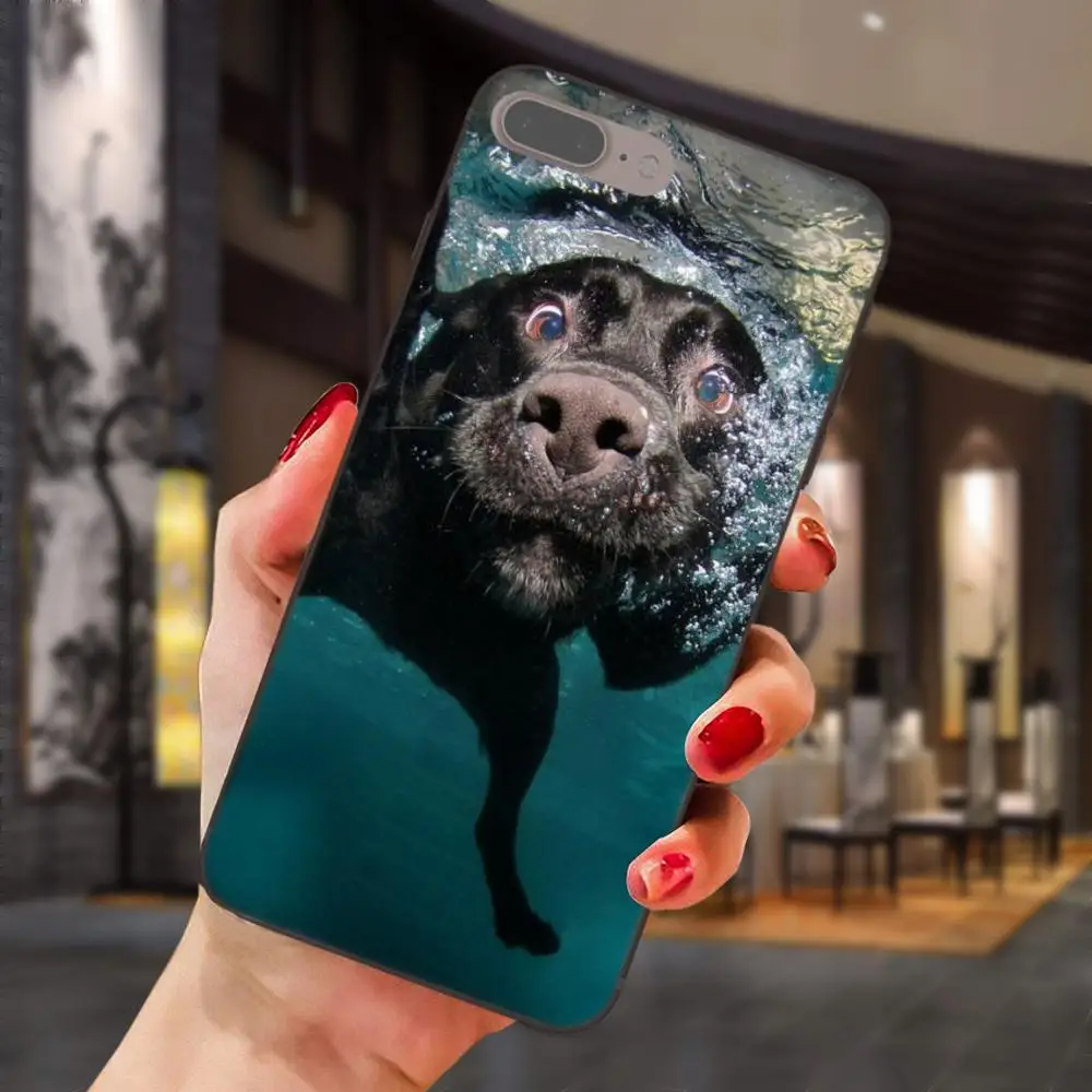 Черный чехол для телефона с рисунком щенков Лабрадора Xiaomi Mi Mix Max Note 2 2S 3 5X 6 6X 8 9 SE A1