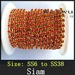 Siam xz017