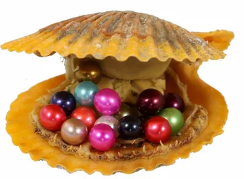 

9.20PCS Akoya scallop Pearl Oyster with AAA Grade 6-7 mm Mix 28 Colors Freshwater Round pearl Individual Packing best gift RR010