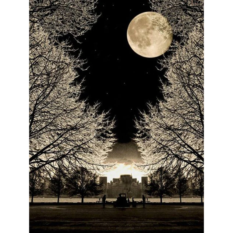 c4c66636e4455670f6be71b1b4159ef3--liberty-island-moon-pictures