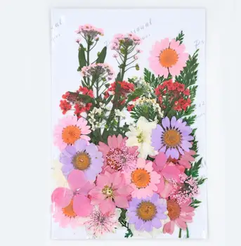 

Design-10 40pcs Mixed Pressed Dried Flower Leaves Filler For Epoxy Resin Jewelry Making Postcard Frame Phone Case Craft DIY