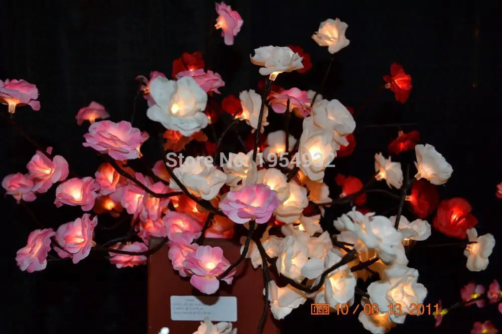 Mix Color Rose