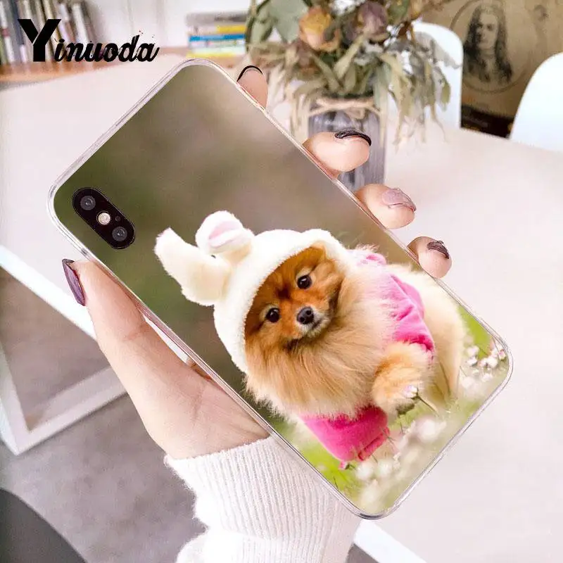 Yinuoda Pomeranian dogs Красочный милый чехол для телефона для iPhone 8 7 6 6S Plus X 10 5 5S SE XR XS XSMAX11 11pro 11promax