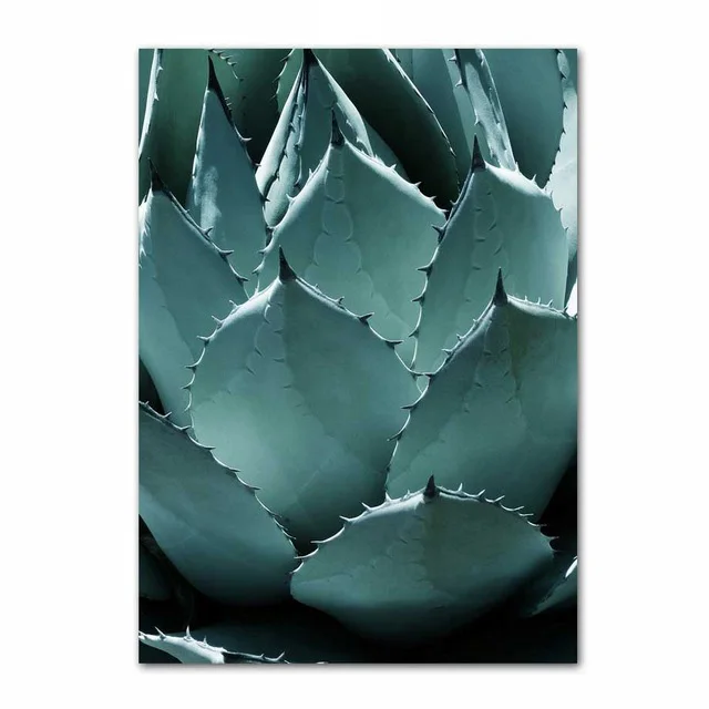 Cactus-Pineapple-Succulent-Plants-Leaves-5D-Diamond-Embroidery-mosaic-full-drill-diy-diamond-painting-home-decor222.jpg_640x640