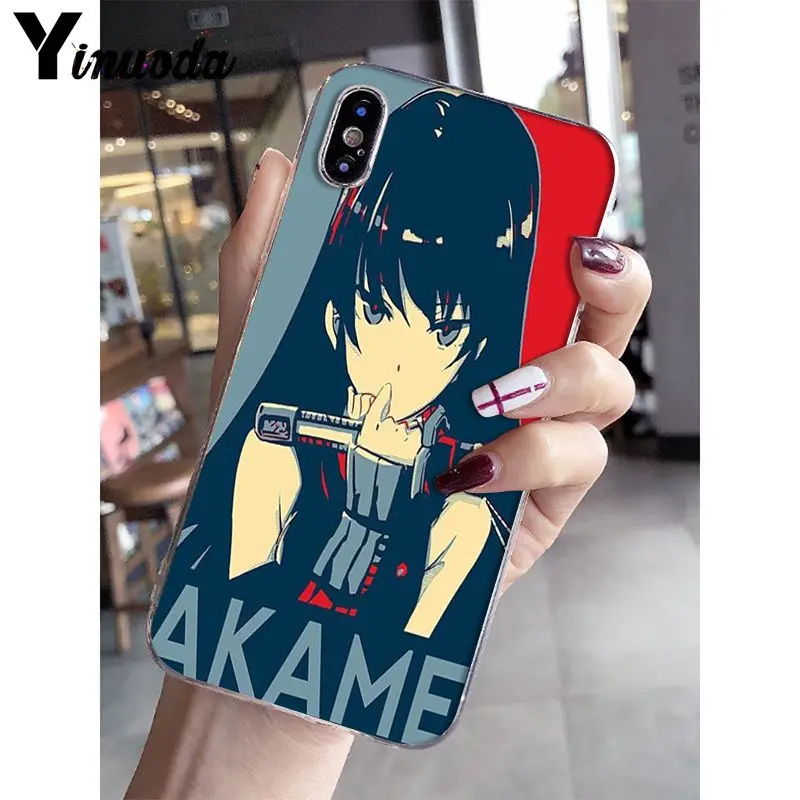 Akame Ga Kill Anime