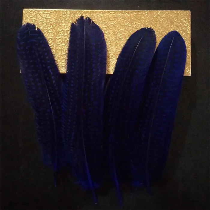 pearl pheasant feathers 1 (6)