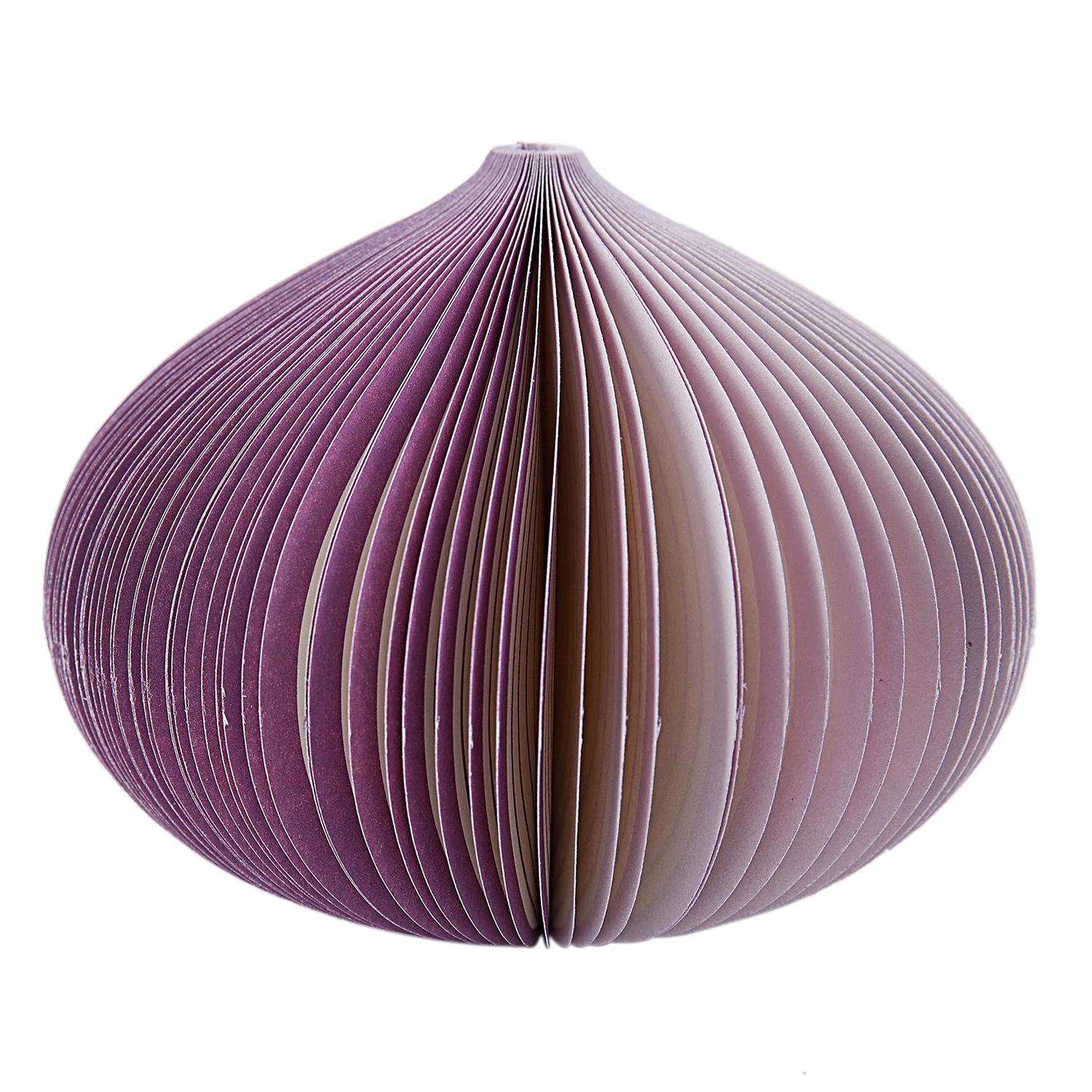 Блокнот для записей фруктов и овощей-лук - Цвет: Фиолетовый