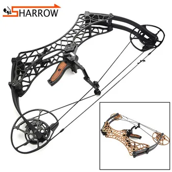

1set 40-70lbs Compound Bow 26inch Fishing Slingshot Hunting Bow 350FPS Arrow Speed For Shooting Training Archery Pulley Bow