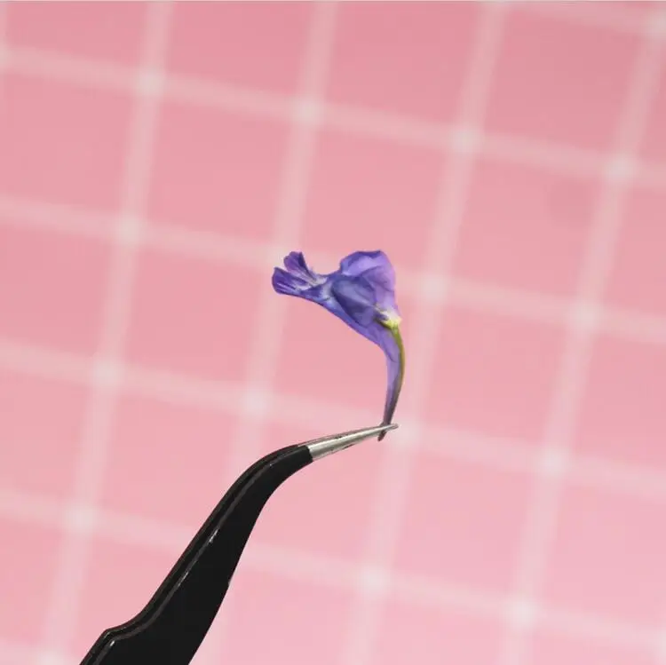 (SLLDHMR)-2