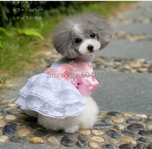 Abbyペット犬ウェディングパーティー子犬わんわんプリンセスレースドレス夏スタイルかわいいドレスクリアランスのウェディングドレス Party Puppy Dog Weddingdoggy Dresses Aliexpress