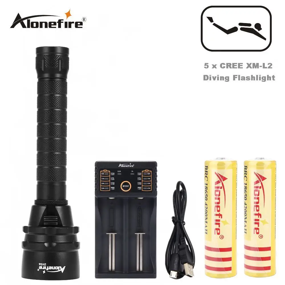 DV34 Diving flashlight (1)