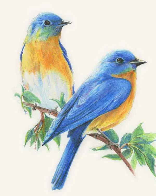 

Meian 5d diy diamant bird Cartoon Mosaic gift diamond Embroidery broderies diamond painting full Patterns Rhinestones 1036