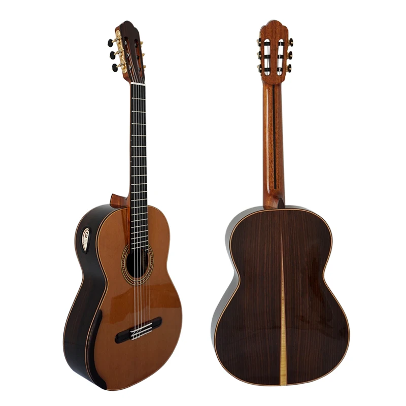 

Aiersi Yulong Guo Professional Chamber Nomex Double Top Classical Guitar Model GC02A