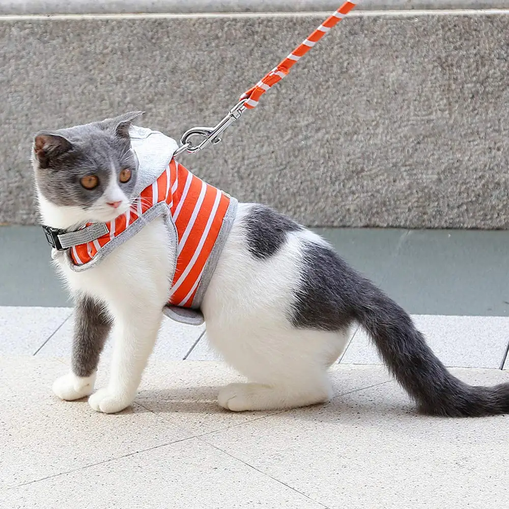 WGT Cat жилет с капюшоном шлейка и поводок Регулируемый мягкий сетчатый ошейник для