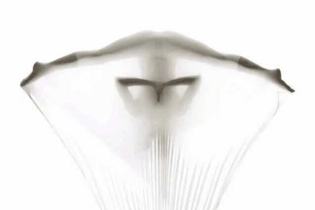 3 метра Воздушный Гамак для йоги Свинг новейший многофункциональный анти-гравитационный пояса для йоги тренировки йоги для женских спортивных - Цвет: Белый