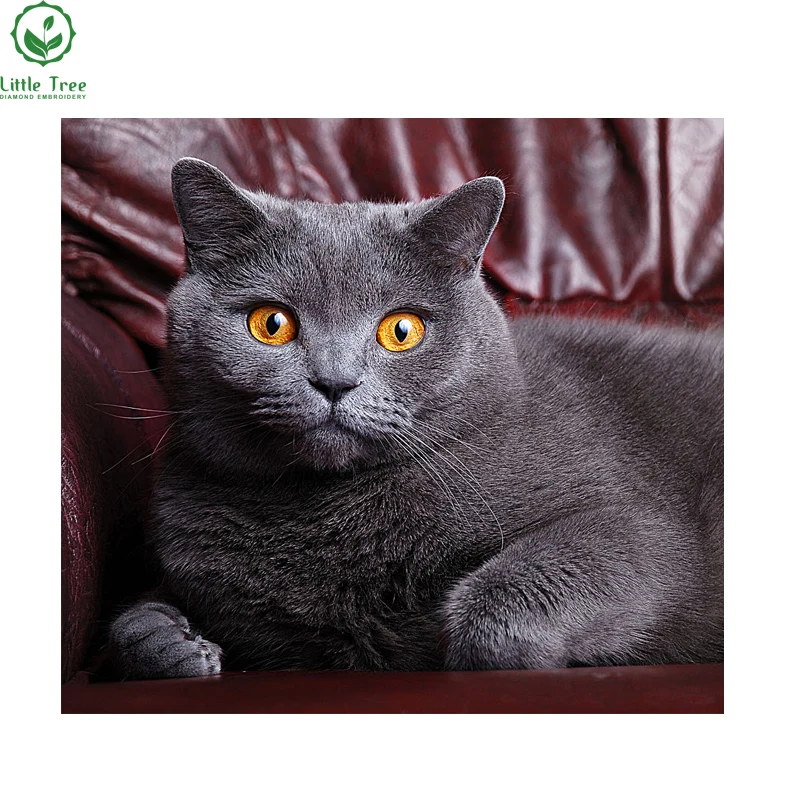 

American shorthair Diamond Painting Cute Cross Stitch kit Full Square Diamond Embroidery DIY Crystal Rhinestone Handwork Crafts