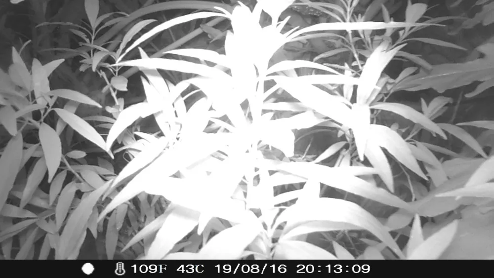 temp_20E7953C-F96C-4328-B3BE-6A5F527D00F0