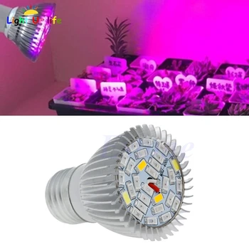 

Full Spectrum 28W E27 LED Grow Light Kit Hydroponics Plant Veg Flower Lamp Blub-ThZ