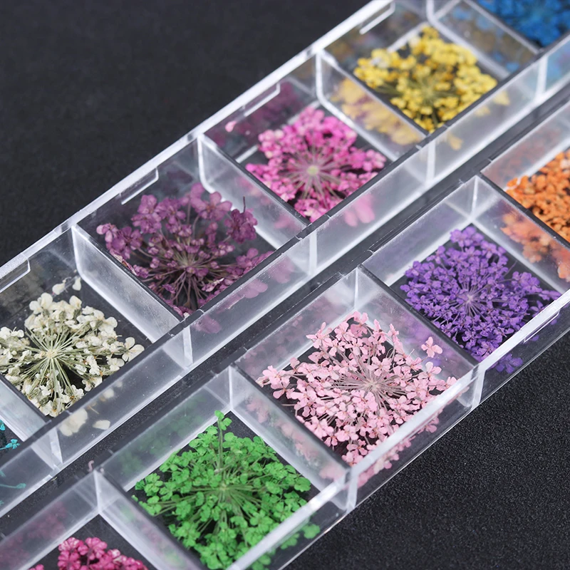 12-Patterns-3D-Dry-Flowers-Stickers-Dried-Nail-Art-Decoration-DIY-Manicure-Tools-w-box-5004 (2)