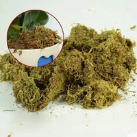 6L Sphagnum мох Садовые принадлежности мох Sphagnum увлажняющее питание органическое удобрение для орхидеи фаленопсис Musgo Sphagnum