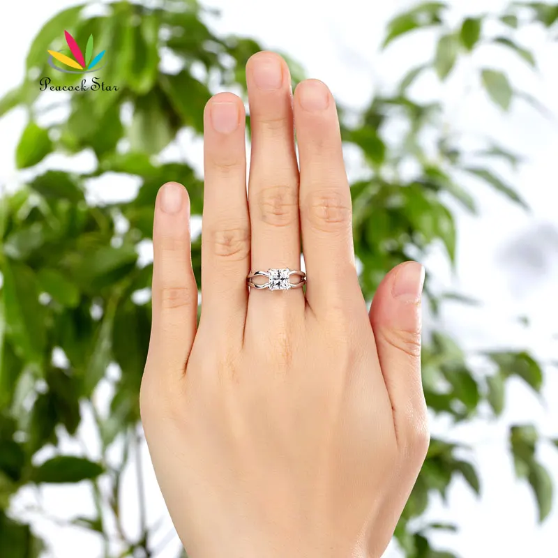 fr8289_hand_2