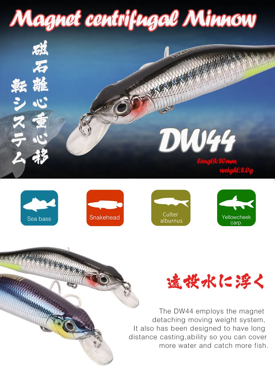 DW44_01