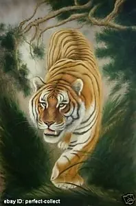 Download 9300 Koleksi Gambar Harimau Turun Gunung Terbaik HD