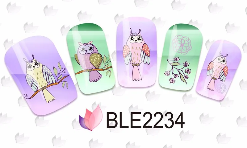 BLE2234