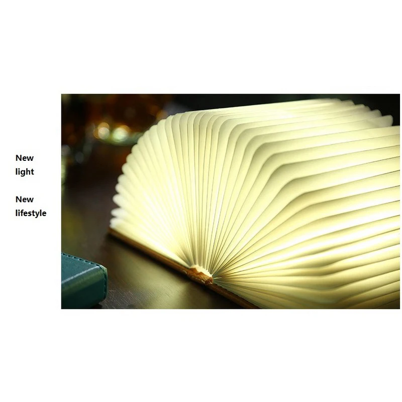 book lamp (10)