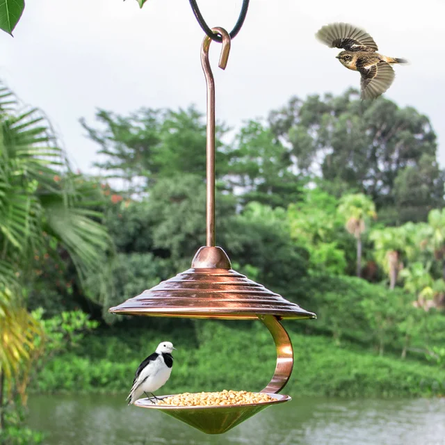 Alimentador de aves al aire libre 3